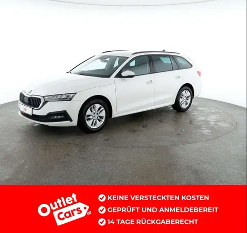 Used SKODA OCTAVIA Diesel 2020 Ad 