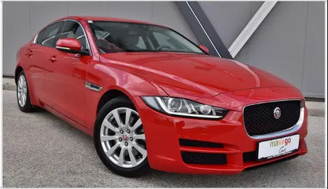 Used JAGUAR XE Diesel 2018 Ad 