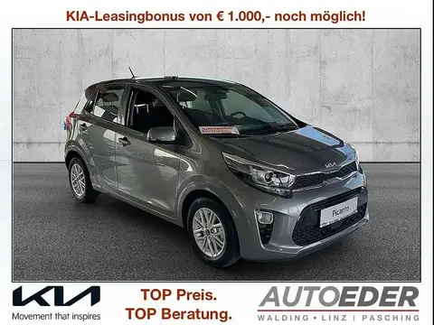 Used KIA PICANTO Petrol 2024 Ad 