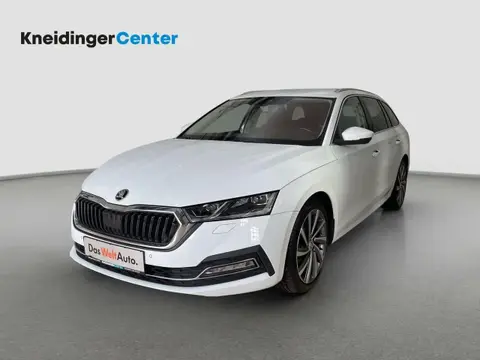 Annonce SKODA OCTAVIA Diesel 2021 d'occasion 