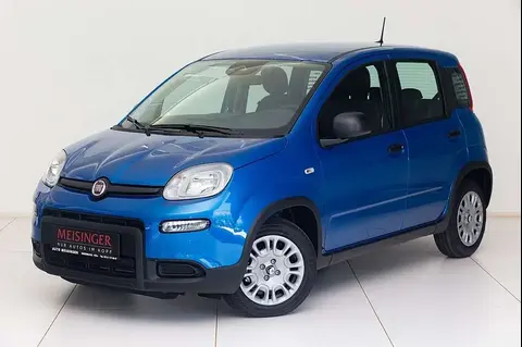 Used FIAT PANDA Petrol 2024 Ad 