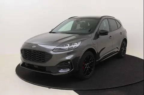 Annonce FORD KUGA Hybride 2023 d'occasion 