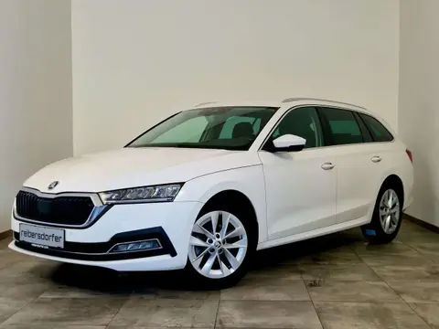 Used SKODA OCTAVIA Diesel 2022 Ad 