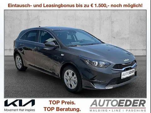 Used KIA CEED Petrol 2024 Ad 