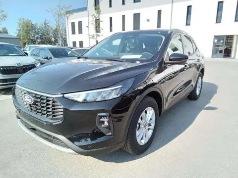 Used FORD KUGA Petrol 2024 Ad 