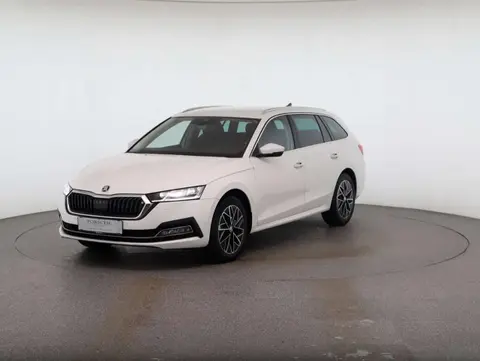 Annonce SKODA OCTAVIA Diesel 2024 d'occasion 