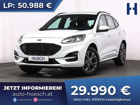 Used FORD KUGA Hybrid 2023 Ad 