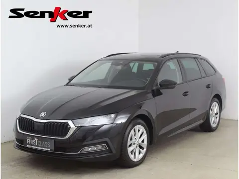 Used SKODA OCTAVIA Diesel 2021 Ad 