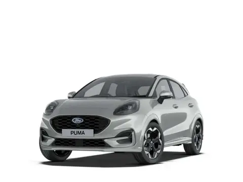 Used FORD PUMA Hybrid 2024 Ad 