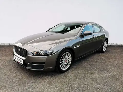 Used JAGUAR XE Diesel 2017 Ad 