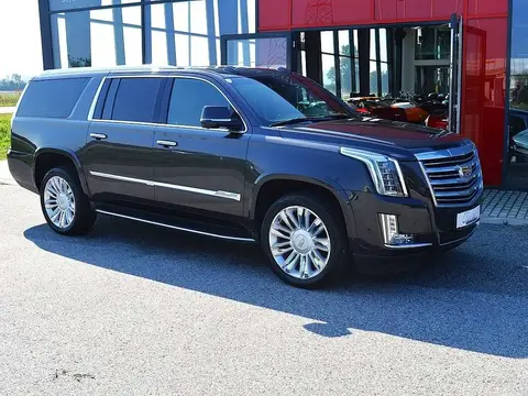 Used CADILLAC ESCALADE Petrol 2017 Ad 