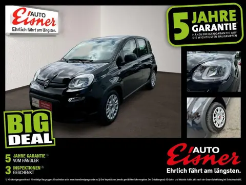 Used FIAT PANDA Hybrid 2024 Ad 