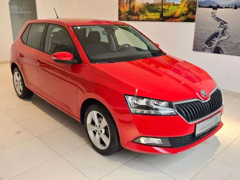 Used SKODA FABIA Petrol 2019 Ad 