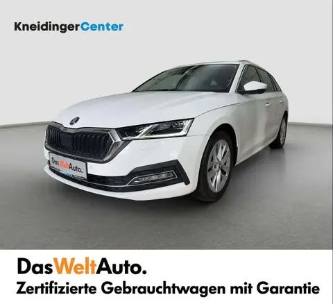 Annonce SKODA OCTAVIA Diesel 2021 d'occasion 