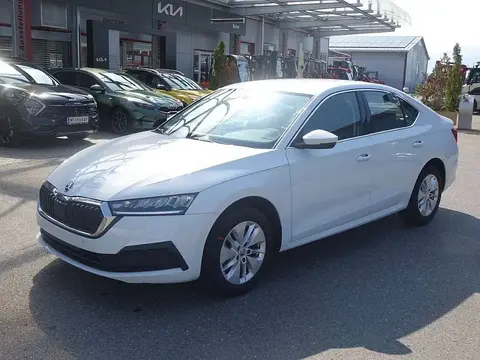 Used SKODA OCTAVIA Diesel 2023 Ad 