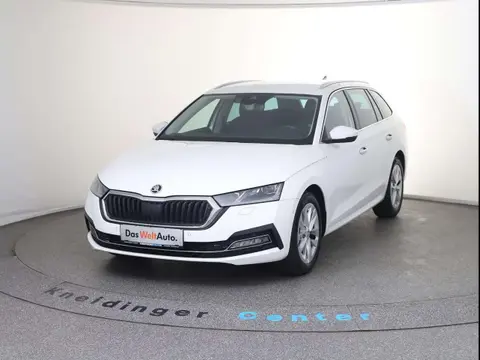 Used SKODA OCTAVIA Diesel 2020 Ad 