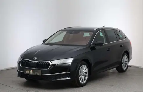 Annonce SKODA OCTAVIA Diesel 2024 d'occasion 