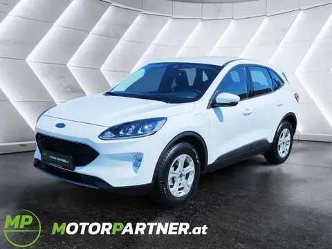 Annonce FORD KUGA Hybride 2024 d'occasion 