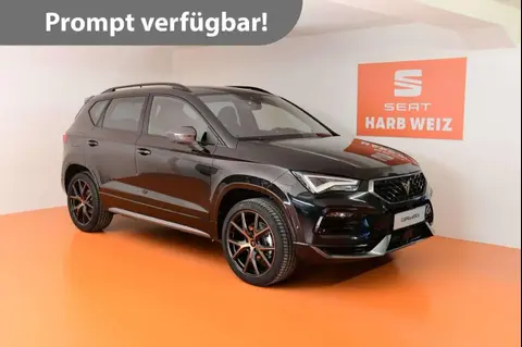 Annonce CUPRA ATECA Essence 2024 d'occasion 