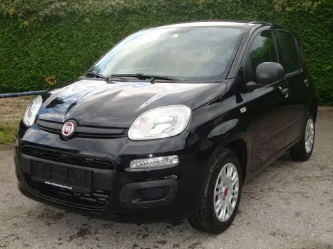 Used FIAT PANDA Petrol 2020 Ad 