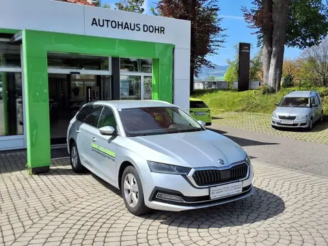 Annonce SKODA OCTAVIA Diesel 2024 d'occasion 