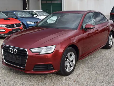 Used AUDI A4 Diesel 2017 Ad 