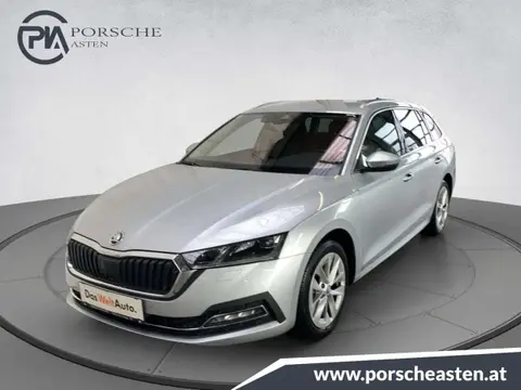 Annonce SKODA OCTAVIA Diesel 2024 d'occasion 