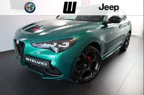 Used ALFA ROMEO STELVIO Petrol 2024 Ad 