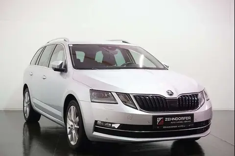 Annonce SKODA OCTAVIA Diesel 2019 d'occasion 