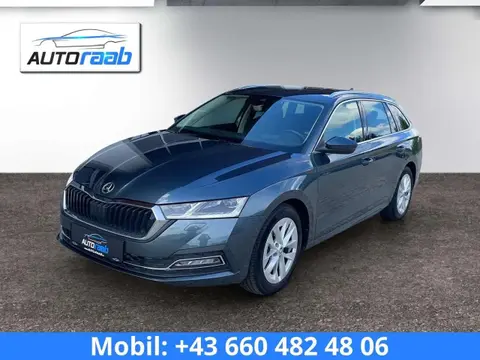 Used SKODA OCTAVIA Diesel 2020 Ad 