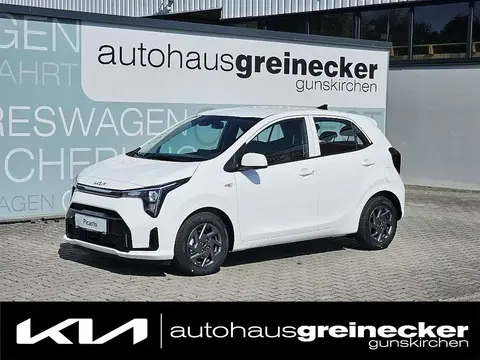 Annonce KIA PICANTO Essence 2024 d'occasion 