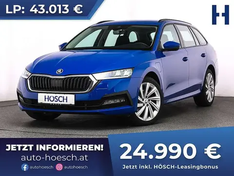 Used SKODA OCTAVIA Hybrid 2022 Ad 