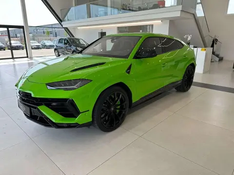 Used LAMBORGHINI URUS Petrol 2024 Ad 