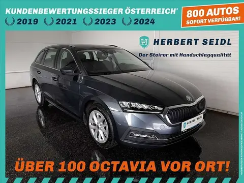 Annonce SKODA OCTAVIA Diesel 2021 d'occasion 