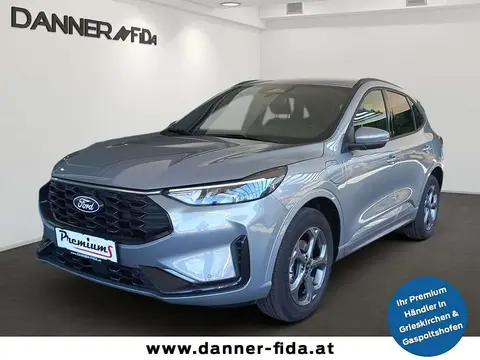 Annonce FORD KUGA Hybride 2024 d'occasion 