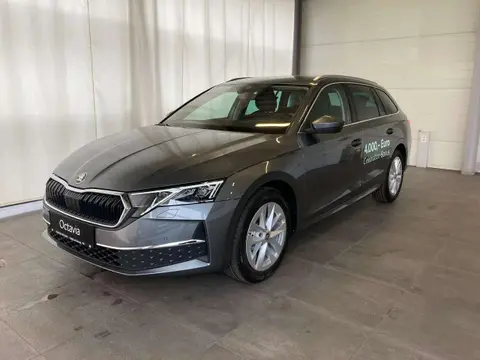 Annonce SKODA OCTAVIA Diesel 2024 d'occasion 