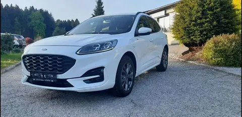 Annonce FORD KUGA Hybride 2021 d'occasion 