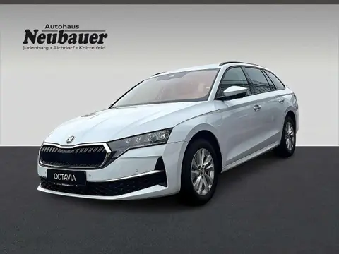 Annonce SKODA OCTAVIA Diesel 2024 d'occasion 