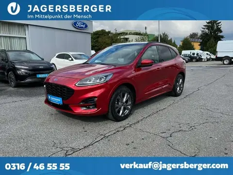 Used FORD KUGA Diesel 2020 Ad 