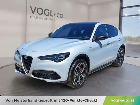 Used ALFA ROMEO STELVIO Petrol 2024 Ad 