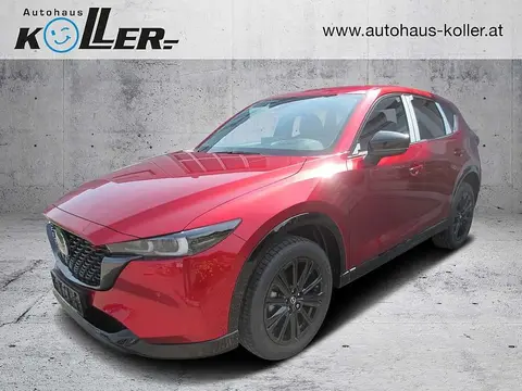 Used MAZDA CX-5 Petrol 2024 Ad 