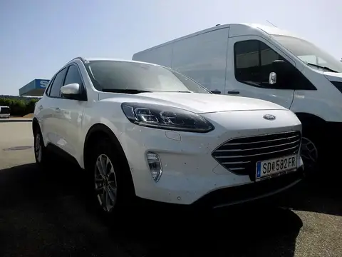 Used FORD KUGA Diesel 2024 Ad 