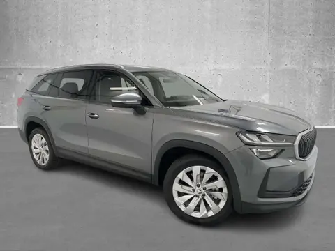 Annonce SKODA KODIAQ Diesel 2024 d'occasion 