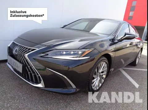 Used LEXUS ES Hybrid 2023 Ad 