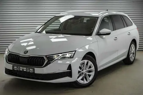 Annonce SKODA OCTAVIA Essence 2024 d'occasion 