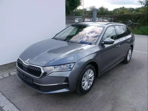 Used SKODA OCTAVIA Petrol 2024 Ad 