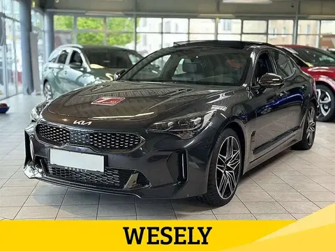 Used KIA STINGER Petrol 2022 Ad 