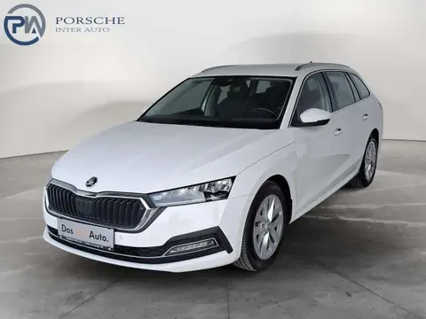 Used SKODA OCTAVIA Diesel 2020 Ad 