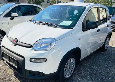 Annonce FIAT PANDA Essence 2024 d'occasion 