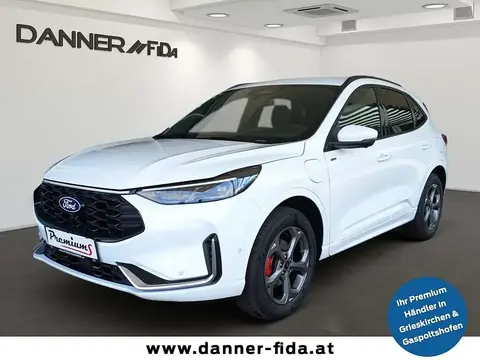 Annonce FORD KUGA Hybride 2024 d'occasion 